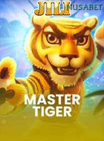 Master Tiger game cover